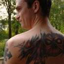 Get to know Dexter from Green Bay!